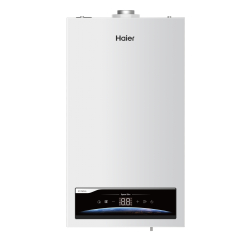 Газовый настенный котел SpaceSlim 2.24 TW